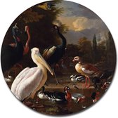 Cercle mural La Plume flottante - Melchior d'Hondecoeter - 40x40 cm - Cercle mural - Dibond - Aluminium