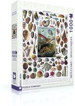 New York Puzzle Company - Vintage Images Mollusks - 1000 stukjes puzzel