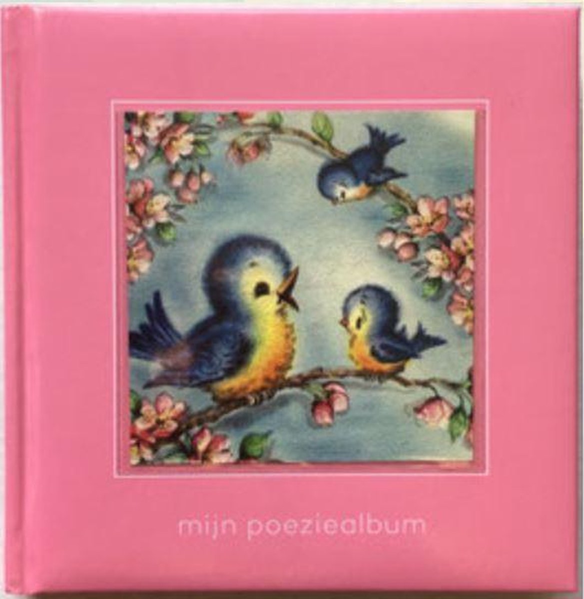 Poëziealbum - 16x16 - Blauw - vogels - Versjes - Gedicht - Cadeau - Sint - Geschenk - Knutselen - Hobby - Creatief - Scrapbook - Poezie