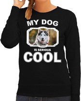 Husky honden trui / sweater my dog is serious cool zwart - dames - Siberische huskys liefhebber cadeau sweaters L