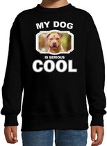 Staffordshire bull terrier honden trui / sweater my dog is serious cool zwart - kinderen - Staffordshire bull terriers liefhebber cadeau sweaters 14-15 jaar (170/176)