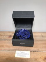 Diamantroos Blauw , gestabiliseerd mét certificaat