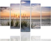Schilderij , Gras op het Strand , Multikleur ,4 maten , 5 luik , wanddecoratie , Premium print , XXL