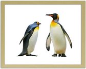 Foto in frame Pinguins, 3 maten, multi-gekleurd, Premium print