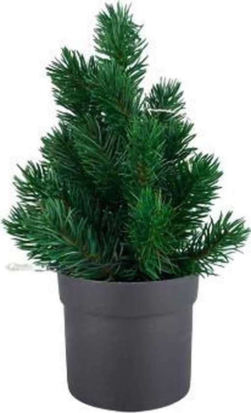 schaak werk Uitsluiten Mini LED kerstboom met pot - Groen / Zwart - Kunststof - 30 cm | bol.com