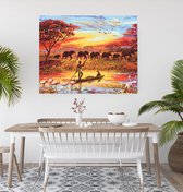 JDBOS ® Schilderen op nummer Volwassenen met frame (hout) - olifanten flamingo's giraffe en bootje in Afrika - Verven volwassenen - 40x50 cm