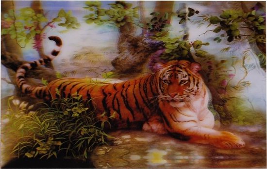 S.Y.W Poster - Tijger - Multicolor