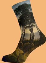 Painted Socks Voogd - Sokken met Kunst print - Bamboe - One Size - Kunstkado