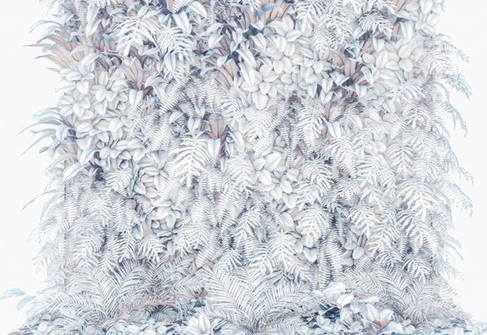 Fotobehang Vertical Garden