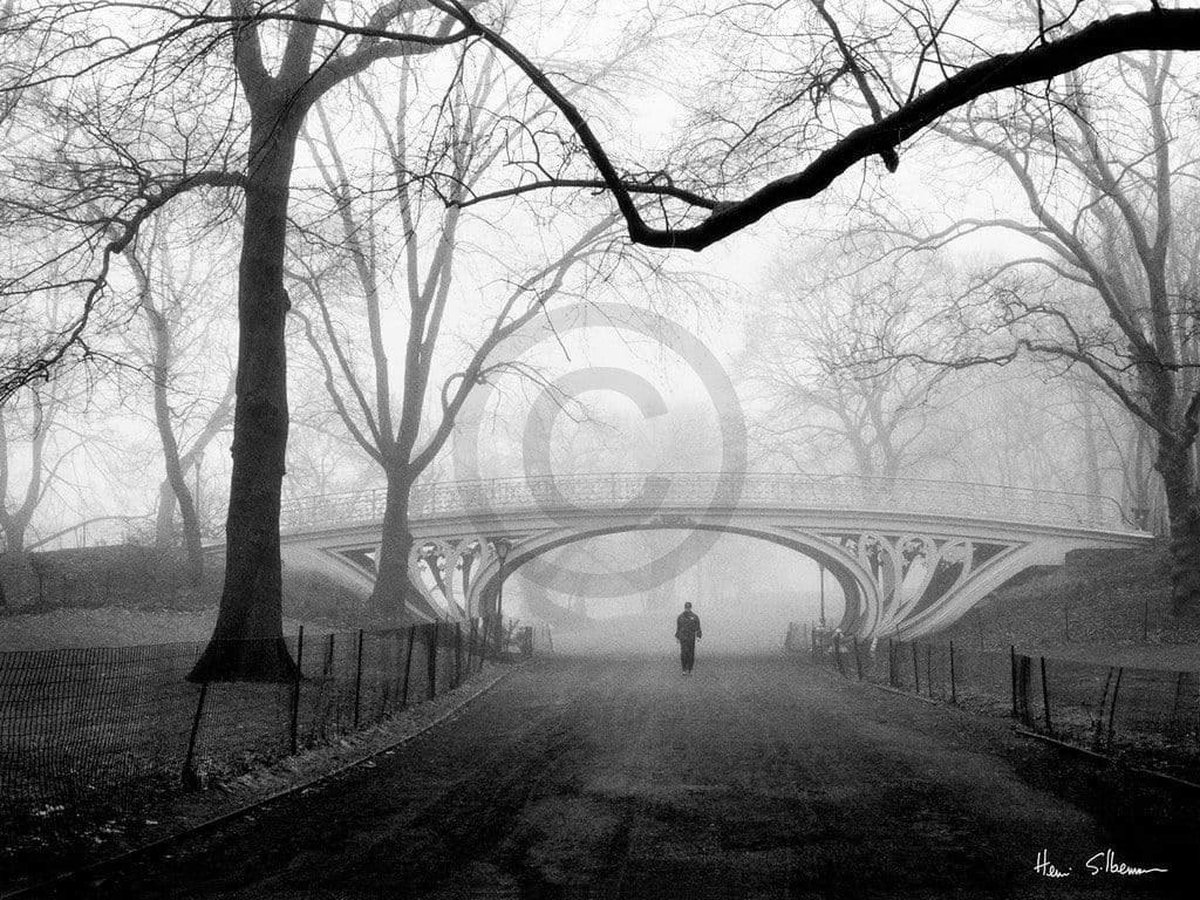 PGM Kunstdruk Henri Silberman - Gothic Bridge, Central Park NYC 80x60cm Divers