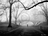 Henri Silberman - Gothic Bridge, Central Park NYC Kunstdruk 80x60cm