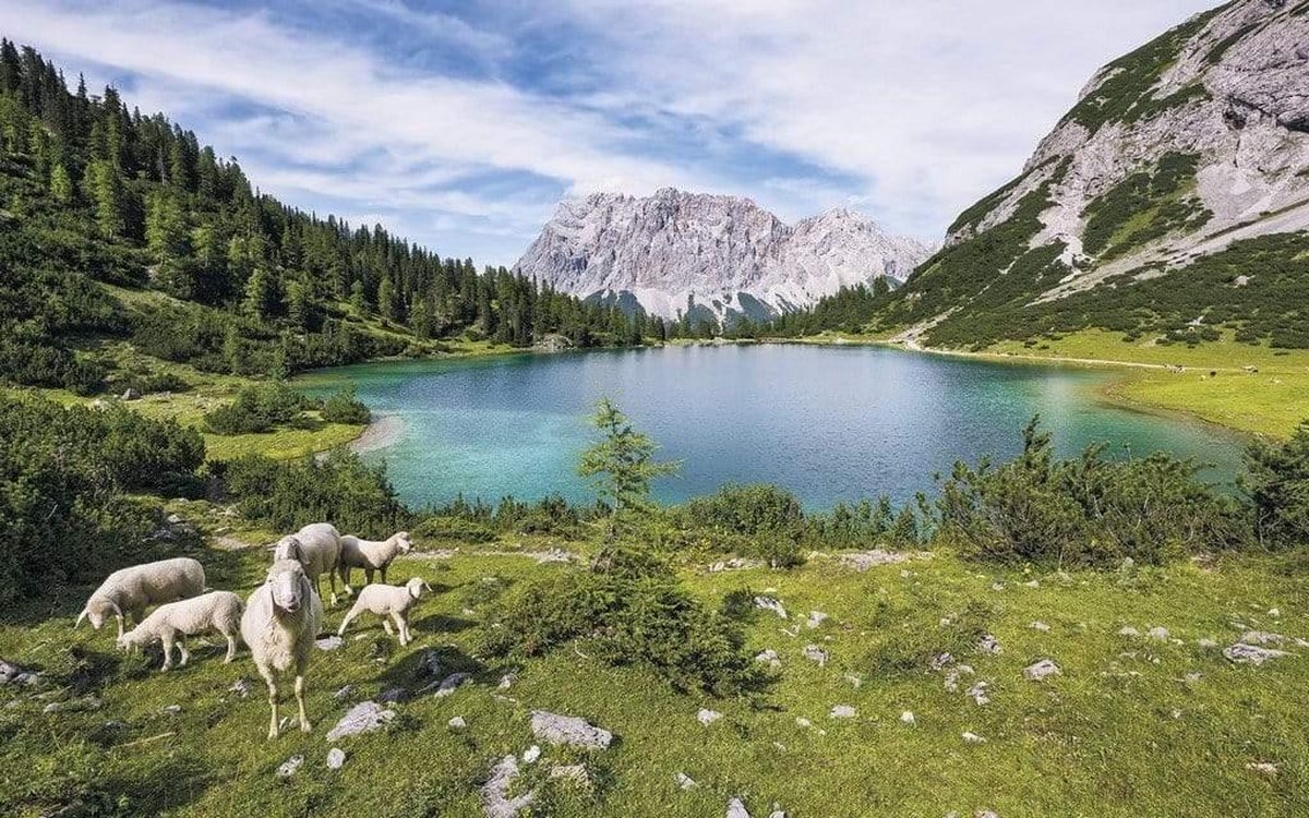 Fotobehang - Paradise Lake 400x250cm - Vliesbehang