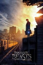 GBeye Fantastic Beasts One Sheet 2  Poster - 61x91,5cm