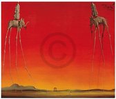 Salvador Dali - Les Elephants Kunstdruk 80x60cm