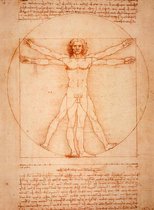 Schetsboek, Leonardo Da Vinci, De mens van Vitruvius