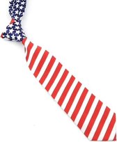 Fun stropdas Stars and Stripes USA (31514)