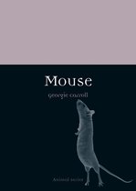 Animal - Mouse