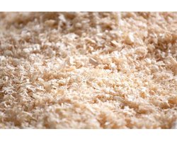 DUVO+ Houtvezel - Ideale Bodembedekking Voor Knaagdieren & Slangen - Sterk Absorberend - 1Kg