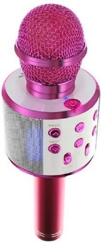 Coöperatie Steil Geometrie Draadloze Karaoke Microfoon met Speaker en Bluetooth - Roze | bol.com