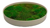 Mosschilderij Julia Natural White ø 40 cm Platmos-Bolmos