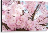 Canvas  - Roze Bloesemboom - 120x80cm Foto op Canvas Schilderij (Wanddecoratie op Canvas)