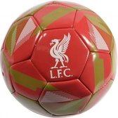 Liverpool Voetbal Champions of 2019