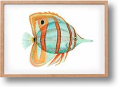 Poster tropische vis blauw/oranje - A4 - mooi dik papier - Snel verzonden! - tropisch - zeedieren - dieren in aquarel - geschilderd door Mies