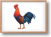 Poster haan - A4 - mooi dik papier - Snel verzonden! - boerderij - dieren in aquarel - geschilderd door Mies