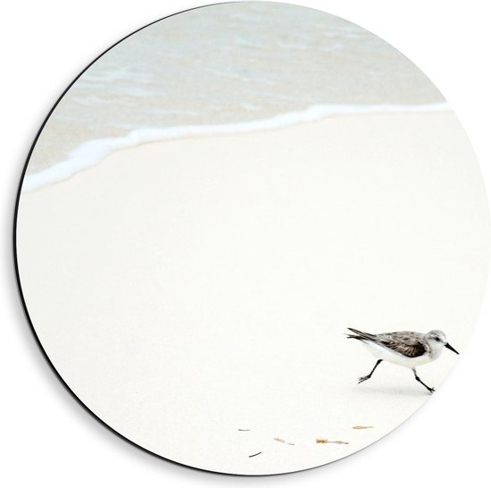 Dibond Wandcirkel - Vogel bij de Zee aan het Strand - 40x40cm Foto op Aluminium Wandcirkel (met ophangsysteem)