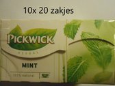 Pickwick thee - Mint -  multipak 10x 20 zakjes