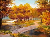 Diamond Painting Herfst - 20 x 30 cm - Incl. Diamant Steentjes en Diverse Tools