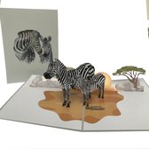 pop-up zebra kaart-wenskaart-geboorte kaart-wenskaart-3D