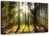 Schilderij Zon achter de bomen, 2 maten, groen, Premium print