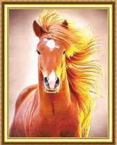 Diamond Painting - Paard met vurige manen - 40x30 - Volwassenen - Kinderen - Volledig Pakket