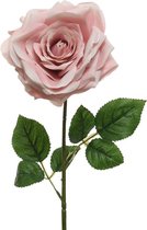 Roos pes steel d15h53 cm p.roze