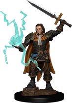 Pathfinder Battles: Premium Painted Figure - Human Cleric Male