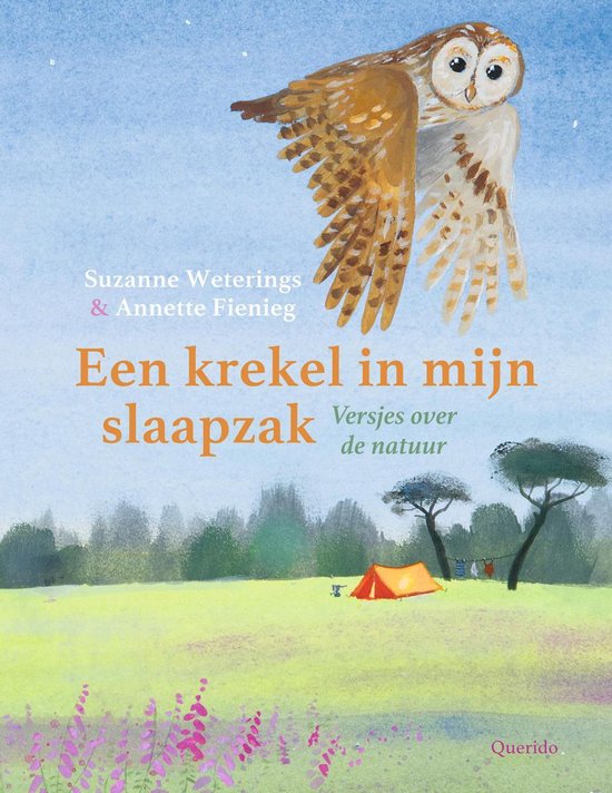 Een krekel in mijn slaapzak - cover