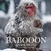 Baboon Calendar 2021