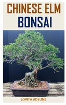 Chinese ELM Bonsai