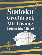 Sudoku Grossdruck Mit Loesung Leicht bis Mittel