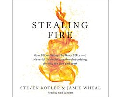 Omslag van Stealing Fire