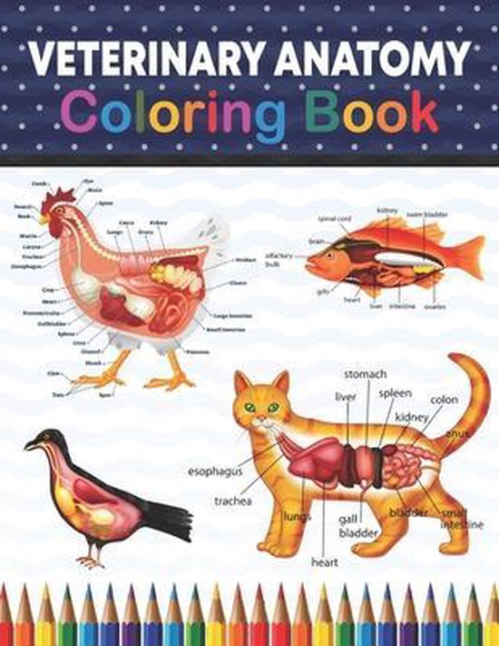 Veterinary Anatomy Coloring Book | 9798560588458 | Rambaumniel