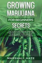 Growing Marijuana for Beginners - Secrets