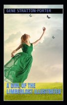 A Girl of the Limberlost illustrated