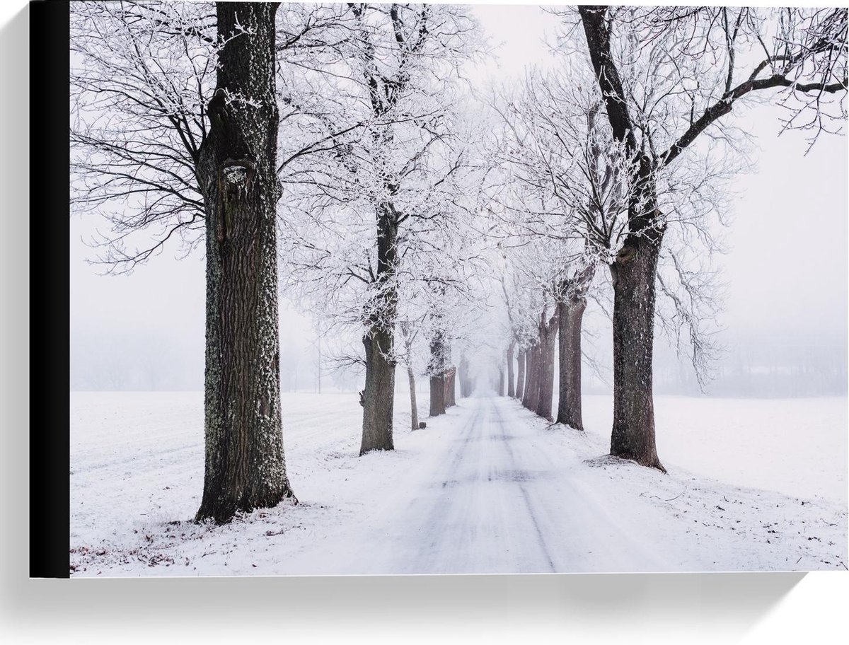 Canvas - Winters pad met Bomen - 40x30cm Foto op Canvas Schilderij (Wanddecoratie op Canvas)