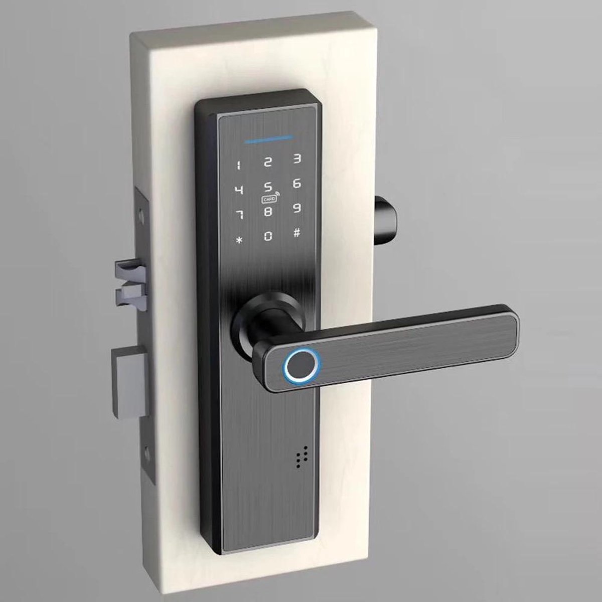 schattig kan niet zien Schildknaap Smart deurslot - Deurklink - Slim deurslot - Wifi - Home security -  Vingerafdruk -... | bol.com