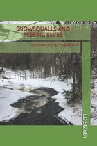 Snowsqualls and Missing Elves