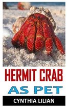 Hermit Crabs as Pet
