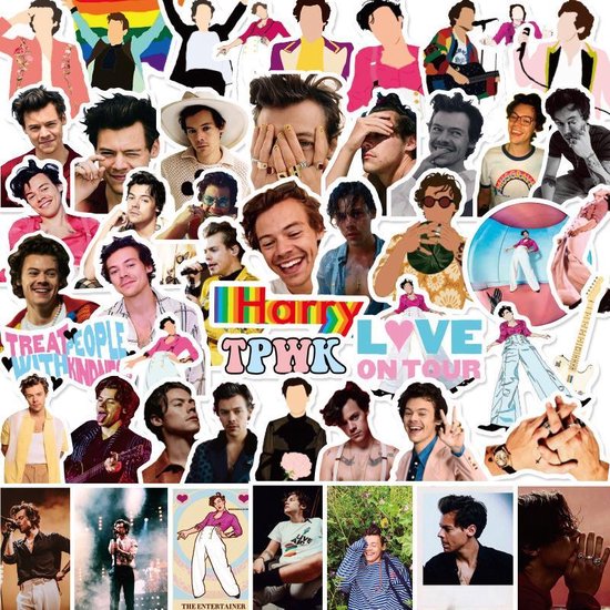 Harry Styles stickers – Love on Tour laptopstickers – 50 stuks – 1D One direction