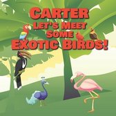 Carter Let's Meet Some Exotic Birds!